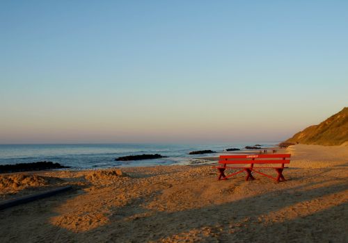 Dorte Fog   Den Ikoniske Lønstrup Bænk