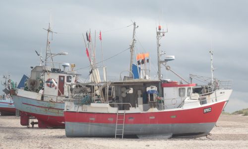 Fotoudstilling 2022- Mit dejlige Danmark