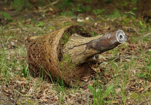 Helle B   Fra Kirsten Kjærs Have