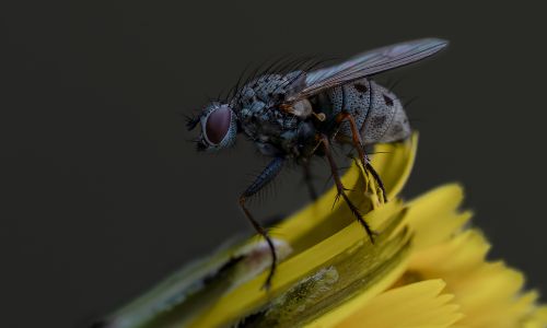 Fotoudstilling 2025- Detaljer