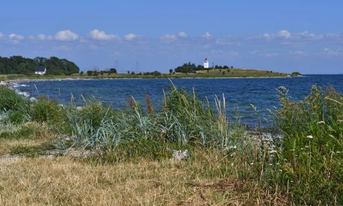 Mit bedste sommerbillede 2019