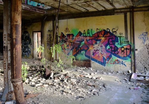 Søren Petersen   Nyskoven