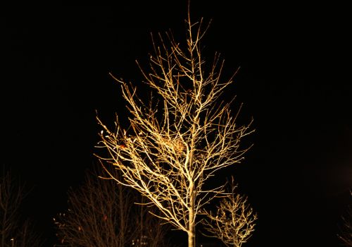 Helle - Aftenfoto Aalborg